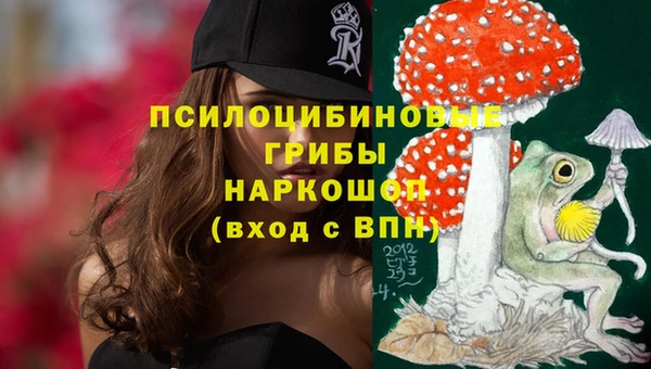 крисы Алзамай