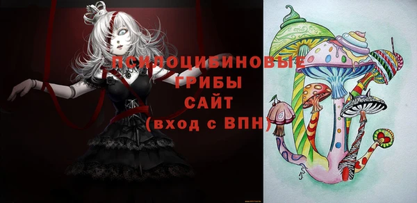 тгк Михайлов