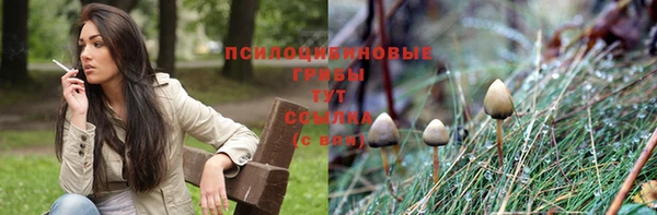 спайс Алексеевка