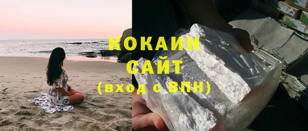 крисы Алзамай