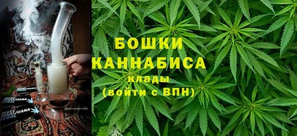 крисы Алзамай